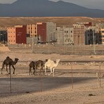 Photo taken by Shelley H