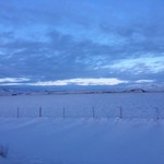 View from car | Photo taken by Catherine B