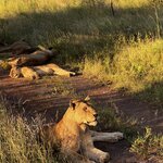 Photo taken by Crystall P