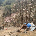 Photo taken by Sin kwan P