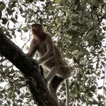 Photo taken by Kim L