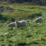 Photo taken by Kara R