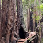 Photo taken by kirsten b