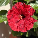 Photo taken by Teresa R