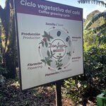 Photo taken by Alexia M