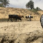 Photo taken by Maryann S