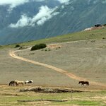 Photo taken by Lori S