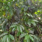 Photo taken by Kathy K