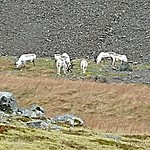 Photo taken by Michael M