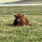 Photo taken by Danielle P