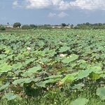 Photo taken by Ricky B