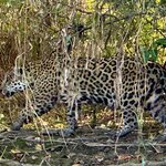 Photo taken by Kelvin V