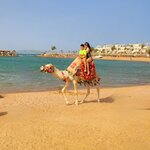 Photo taken by Kim M