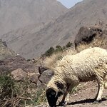 Photo taken by Charis U