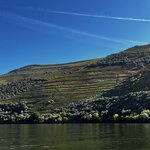 Photo taken by Dee C