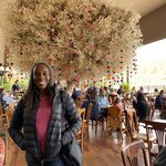 Photo taken by Kimberly A