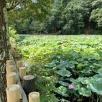 Photo taken by Deborah C