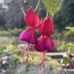 Photo taken by Priya R