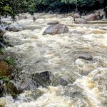 Photo taken by Judy H