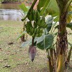 Photo taken by Alex V