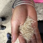 Photo taken by Margaret S