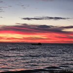 Photo taken by Stefani C