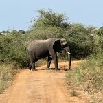 Photo taken by Michael L