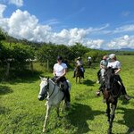 Photo taken by Amanda P