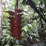 Photo taken by Michelle D