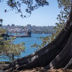 Photo taken by Linnaea M