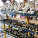 Photo taken by Jacqui O