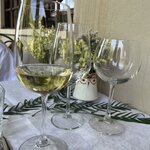 Photo taken by Natalia A