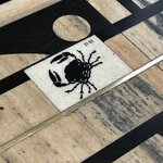 Photo taken by Frank S