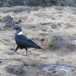 Photo taken by Kristin M