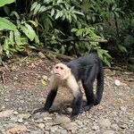 Photo taken by Danijela R