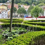 Photo taken by Lisa C