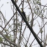 Photo taken by ted m