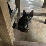 Photo taken by Imogen E