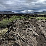 Photo taken by Sarah C