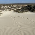 Photo taken by Amy Z