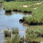 Photo taken by Christopher F