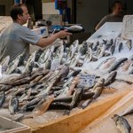 Photo taken by Jonathan F