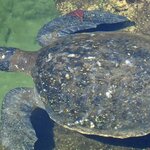 Photo taken by Vinay K