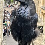 Photo taken by Larry B