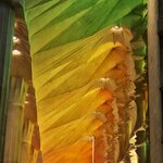 Photo taken by David M