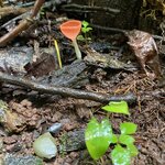 Photo taken by Mathew S