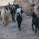 Photo taken by Wendy Q