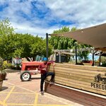 Photo taken by Kolla S