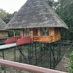 Photo taken by Mark A