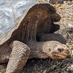 Photo taken by Jennifer A